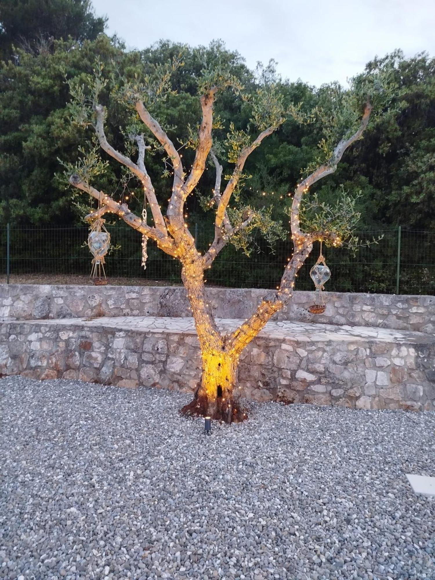 Villa Bagorda Selva Di Fasano Exteriér fotografie
